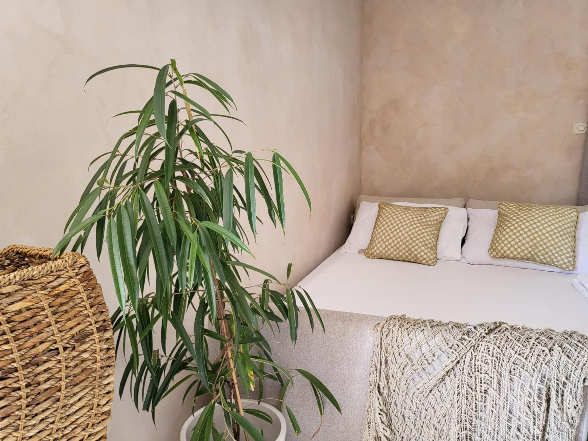 נייביצה Apartments Grgic מראה חיצוני תמונה